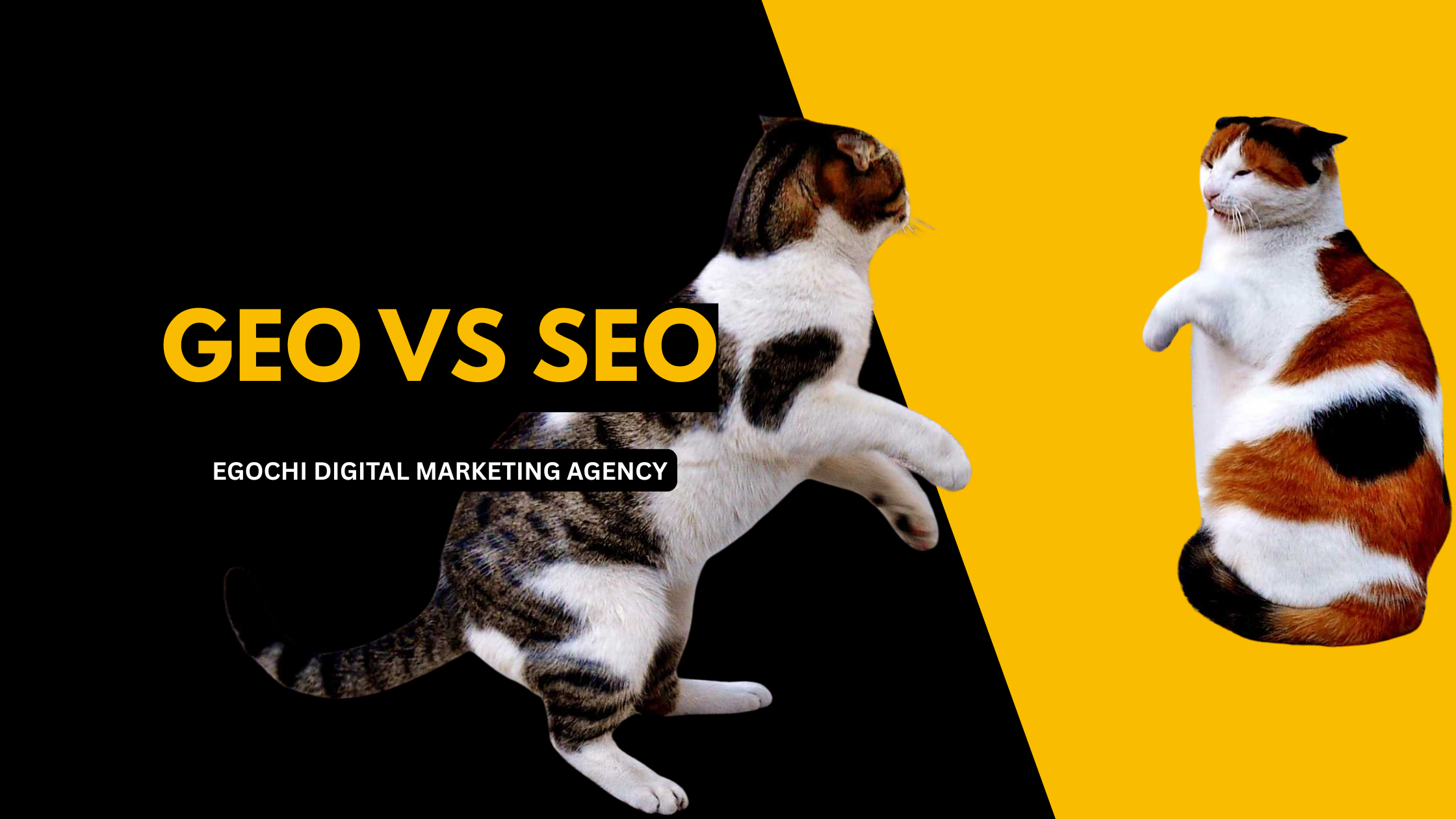 GEO vs SEO cover graphic with two cats squaring up across a black and gold split background