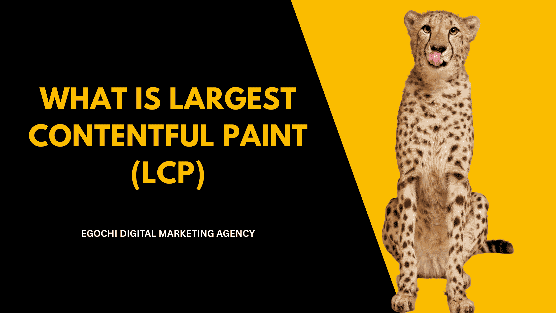 What Is Largest Contentful Paint LCP cover with the title in gold on black and a cheetah sitting upright against a yellow panel