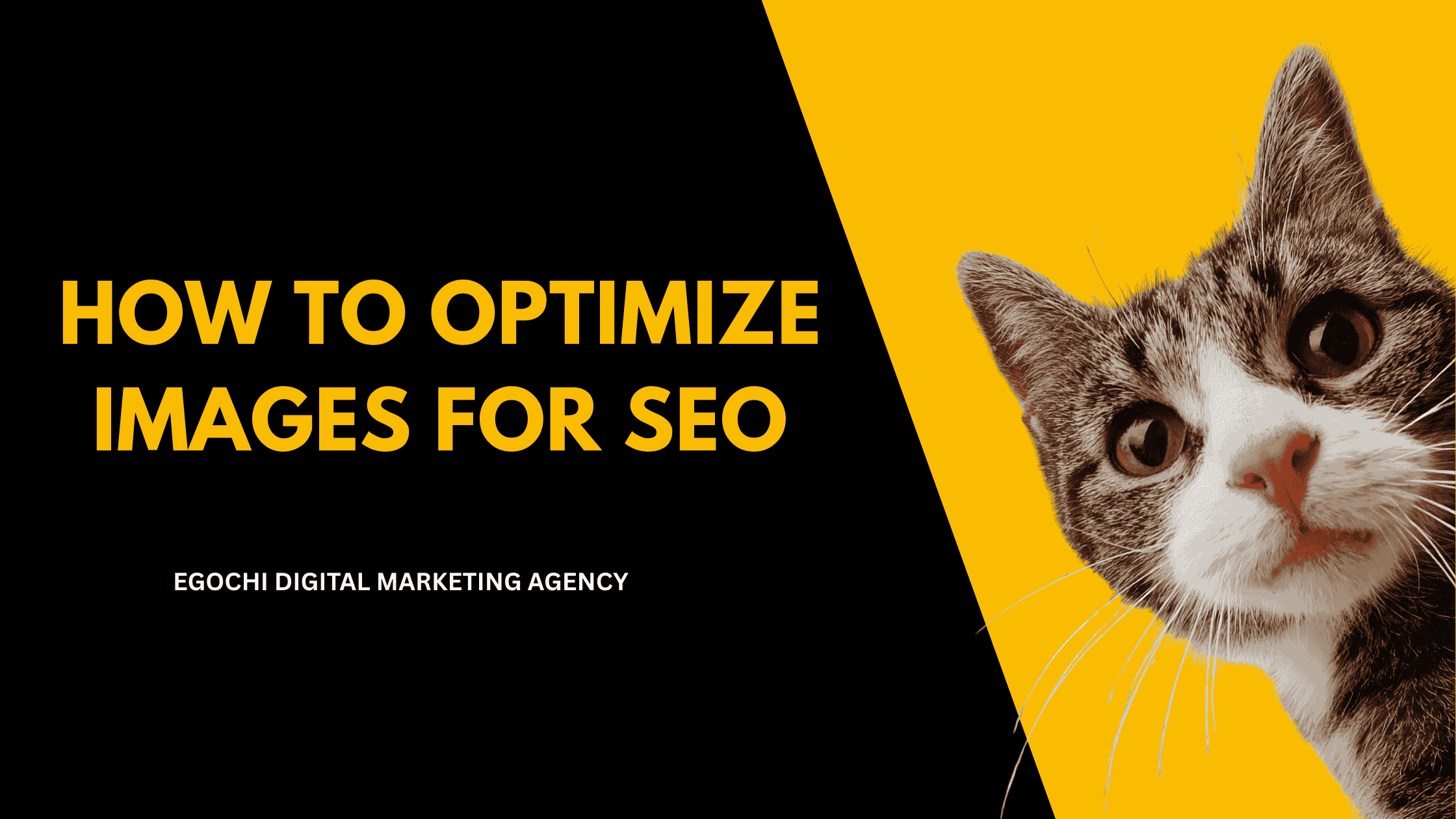 How to Optimize Images for SEO cover with the title in gold on black and a curious cat peeking around the edge against a yellow panel