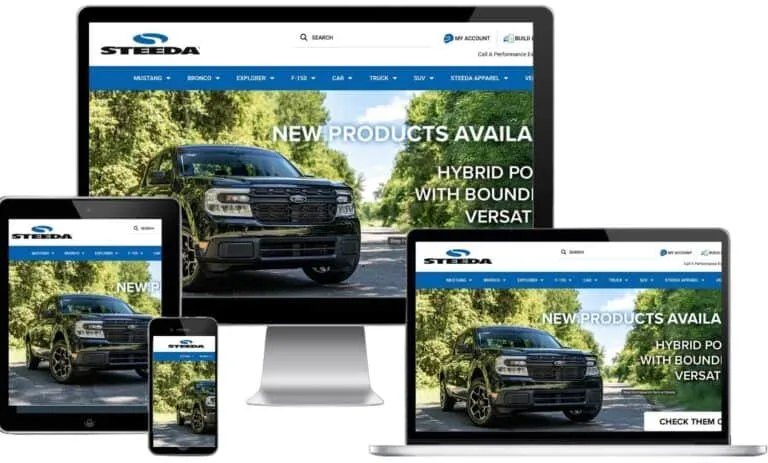 Steeda case study