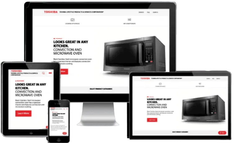Toshiba Lifestyle case study