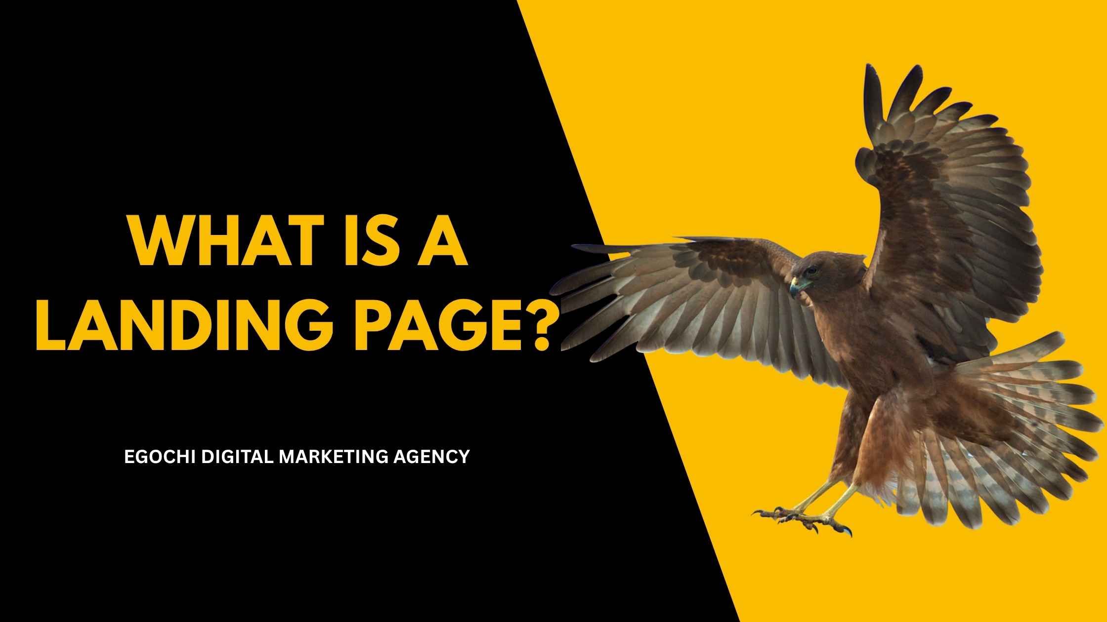 What Is a Landing Page cover with the question in gold on black and a hawk spreading its wings to land against a yellow panel