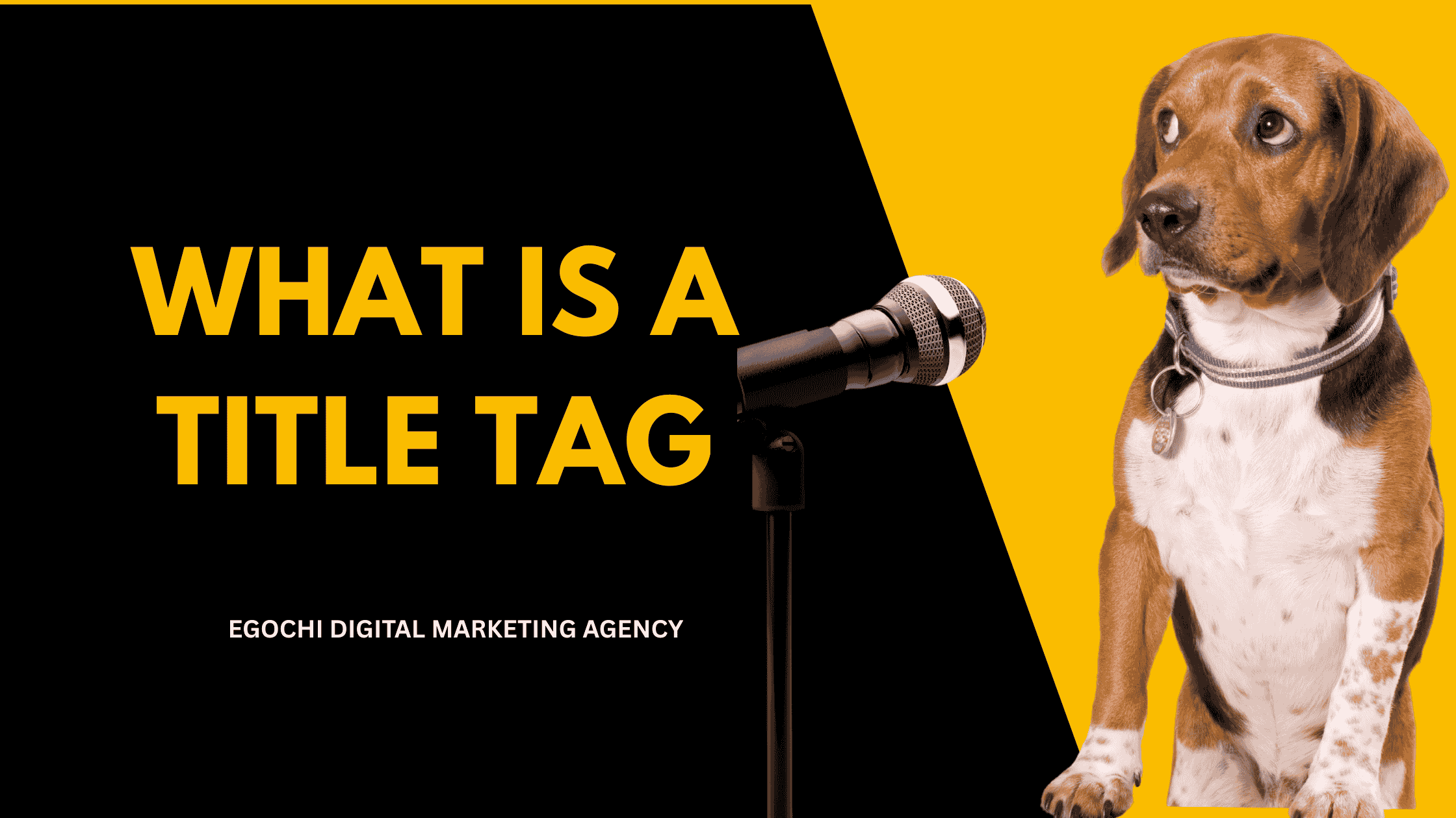What Is a Title Tag cover with the question in gold on black and a beagle looking up at a microphone against a yellow panel